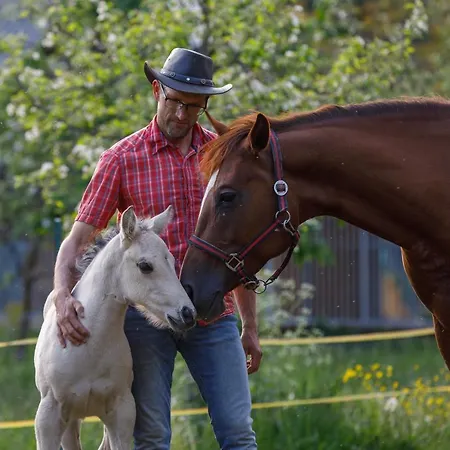 Domacija Loncnar ボーヒニ