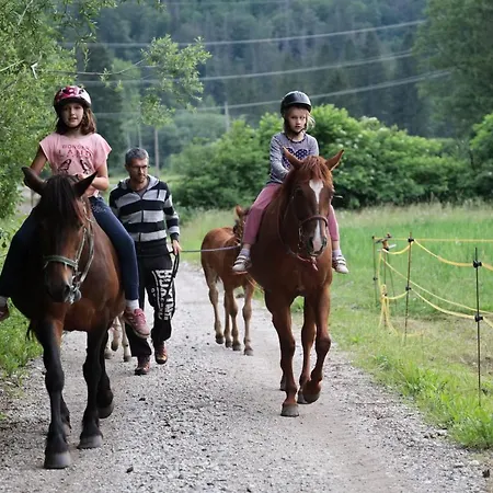 アパート Domacija Loncnar ボーヒニ