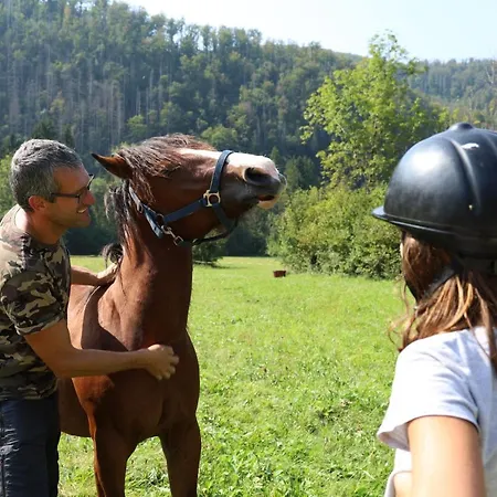 דירה Domacija Loncnar בוהין