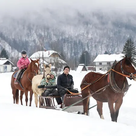Domacija Loncnar * Bohinj