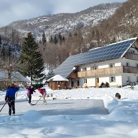 アパート Domacija Loncnar *