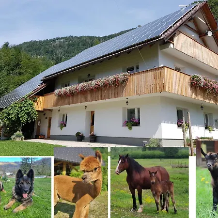 Apartman Domacija Loncnar *