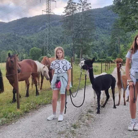 דירה Domacija Loncnar *