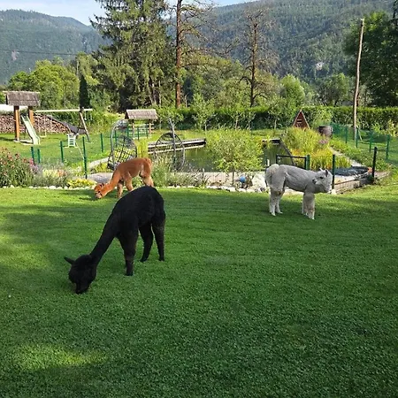 Domacija Loncnar Apartman