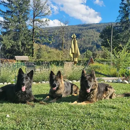 Domacija Loncnar Lägenhet