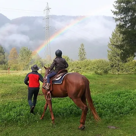 Domacija Loncnar Apartman Bohinj