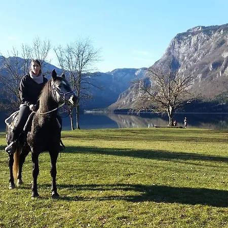 Domacija Loncnar Apartman