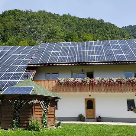 Domacija Loncnar Bohinj