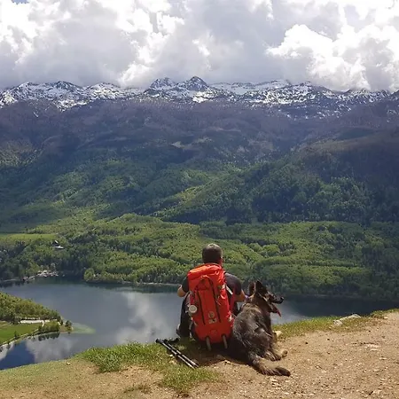 Domacija Loncnar Apartman Bohinj