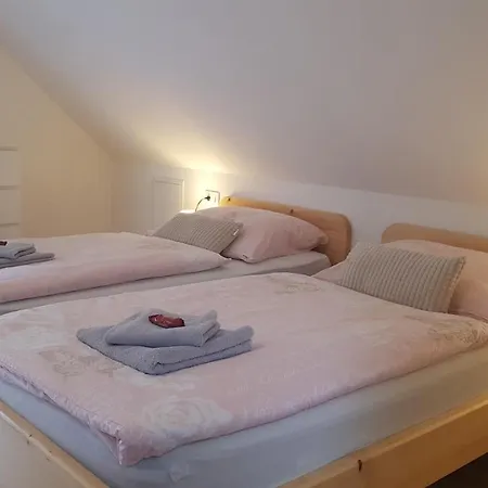 شقة Domacija Loncnar-