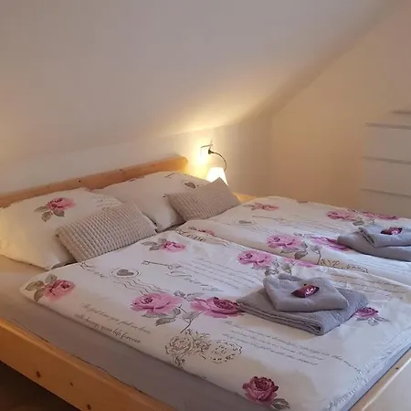 Apartment Domacija Loncnar- *