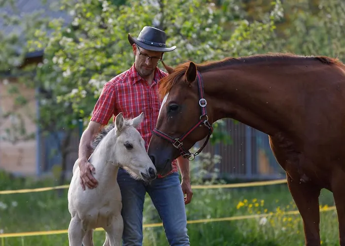 Domacija Loncnar Bohinj