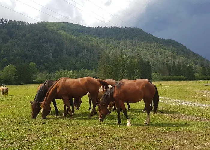 Domacija Loncnar Lejlighed *