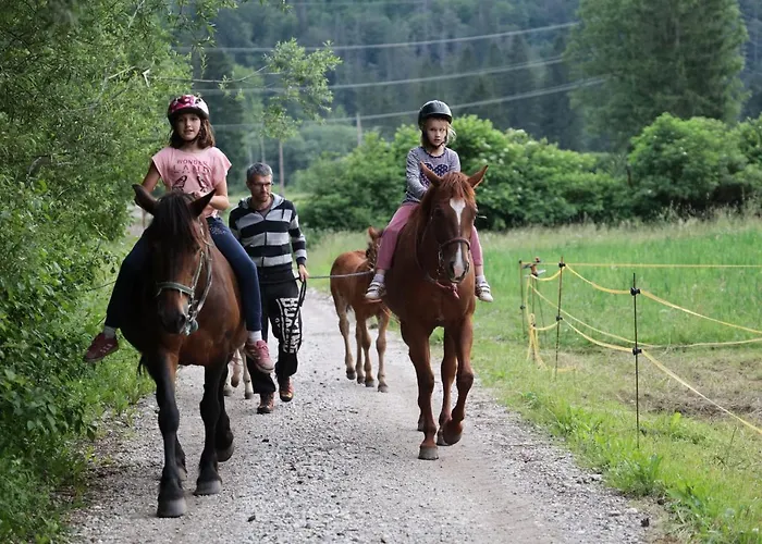 Lejlighed Domacija Loncnar Bohinj