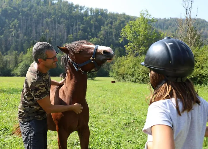 Appartement Domacija Loncnar Bohinj