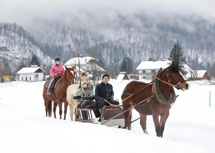 Domacija Loncnar * Bohinj