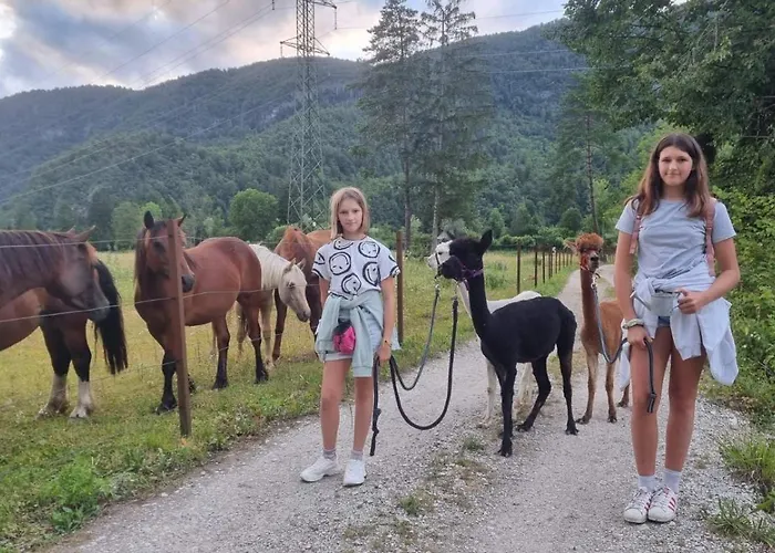 Lejlighed Domacija Loncnar *