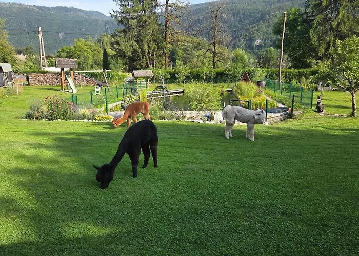 Domacija Loncnar Lejlighed