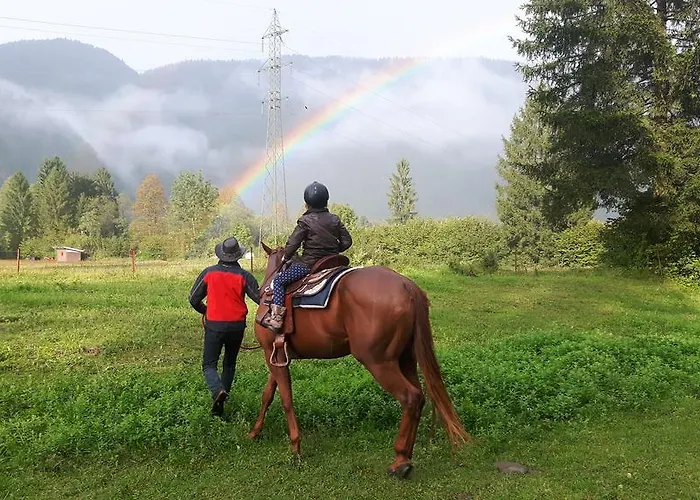Domacija Loncnar Lejlighed Bohinj