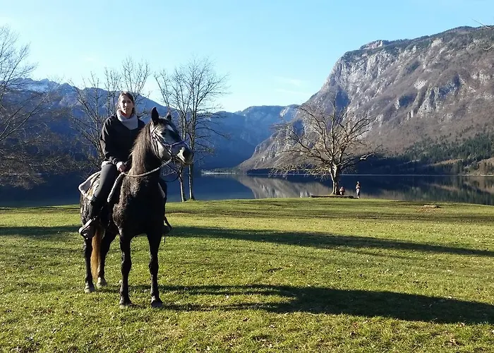 Domacija Loncnar Appartement