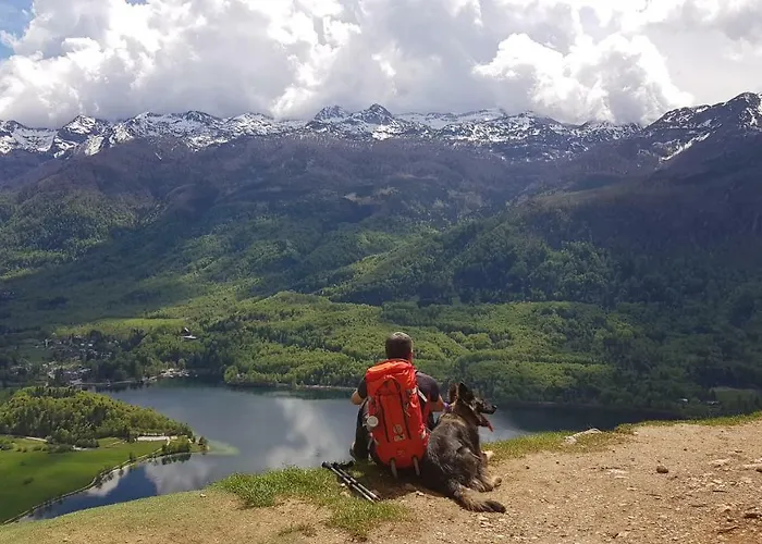 Domacija Loncnar Lejlighed Bohinj